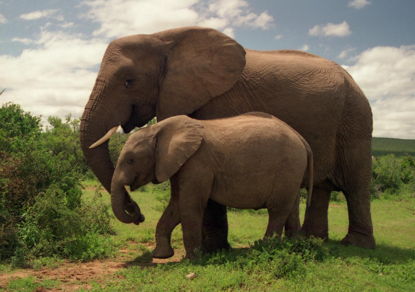 PostgreSQL and Big Data